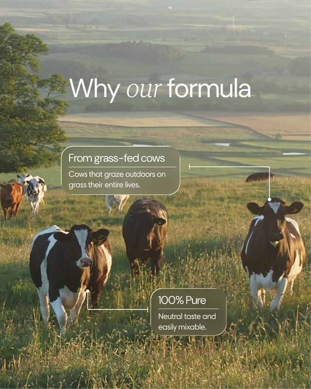Clearly grass-fed collagen powder in a jar, showing the natural collagen powder ingredient for healthy skin and joints.