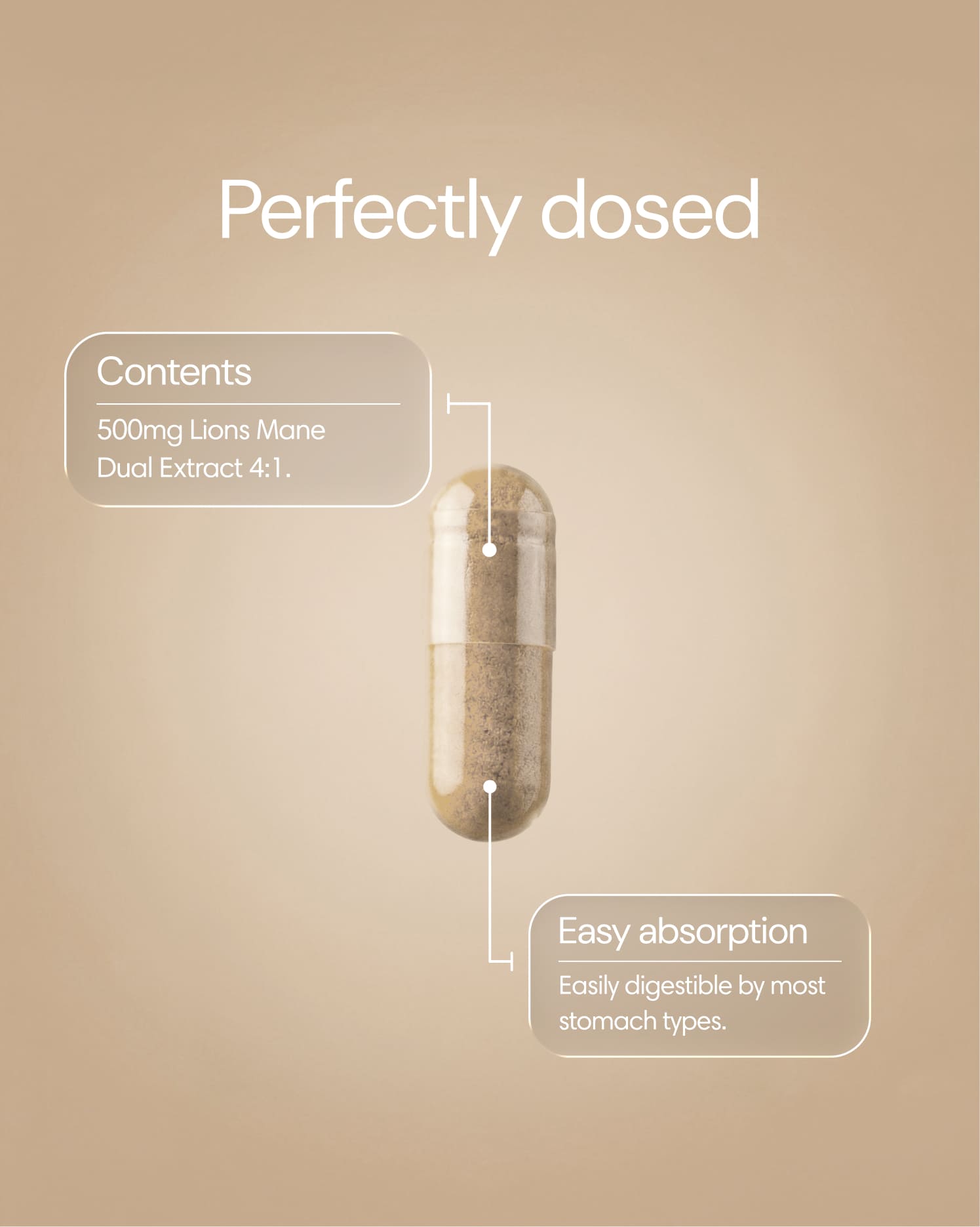 Clearly Lion's Mane capsules in a bottle, showing the supplement capsules for cognitive health support.