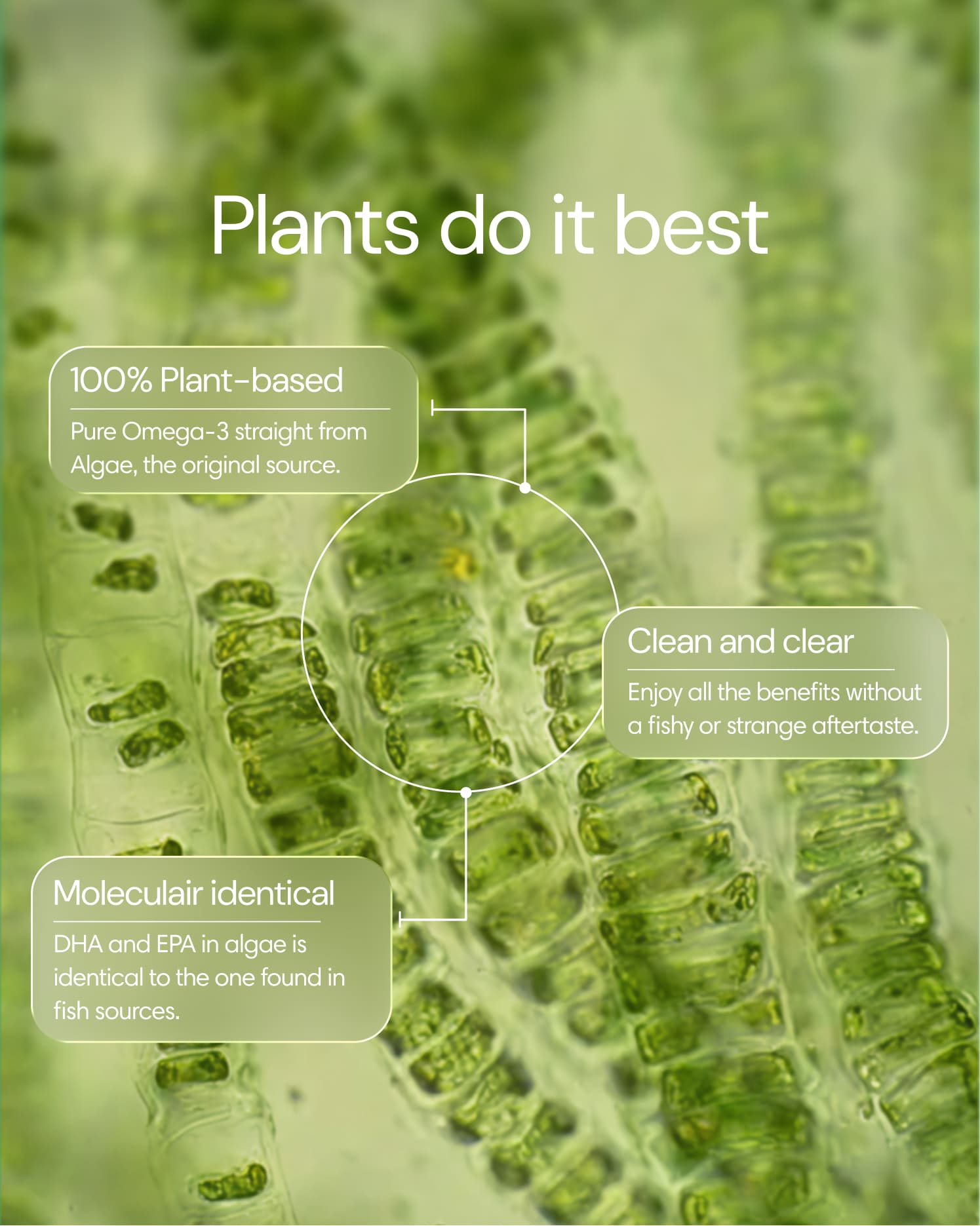 Clearly Omega-3 supplement bottle with softgel capsules, showing the product's ingredients and label details.