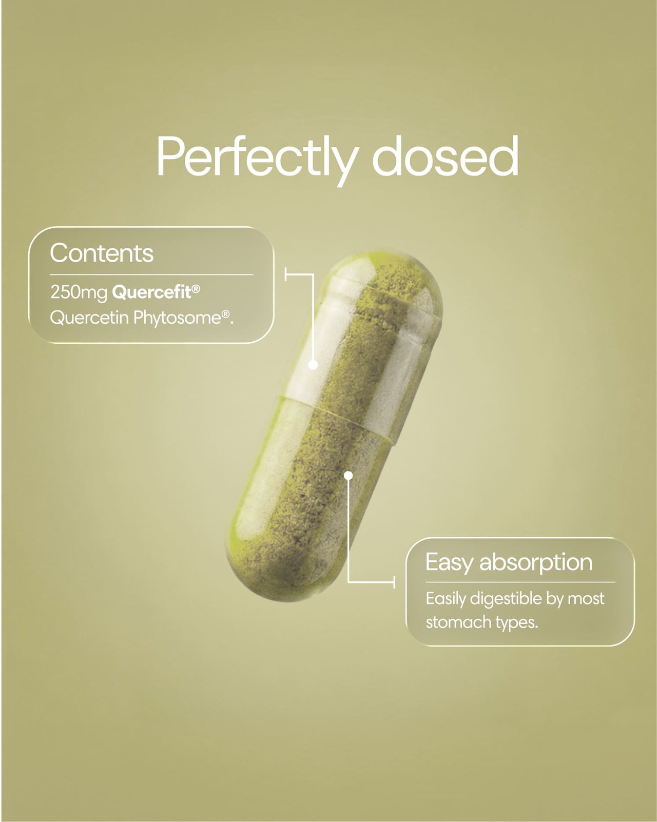 Clearly Quercetine capsules in a bottle, showing the dietary supplement capsules for immune support and antioxidant benefits.