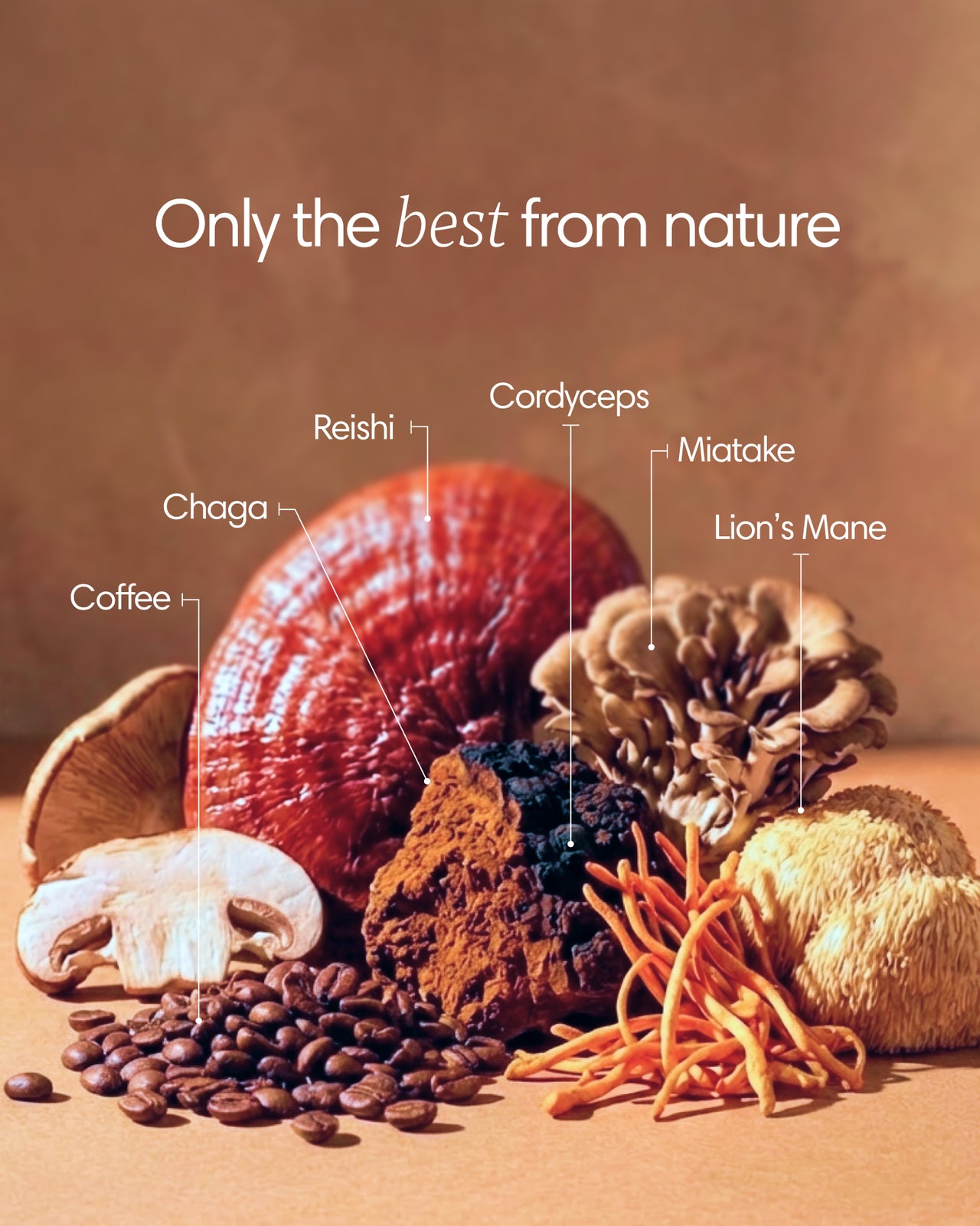 Clearly Mushroom Coffee container with a scoop and coffee powder on a wooden surface, highlighting natural mushroom coffee ingredients.