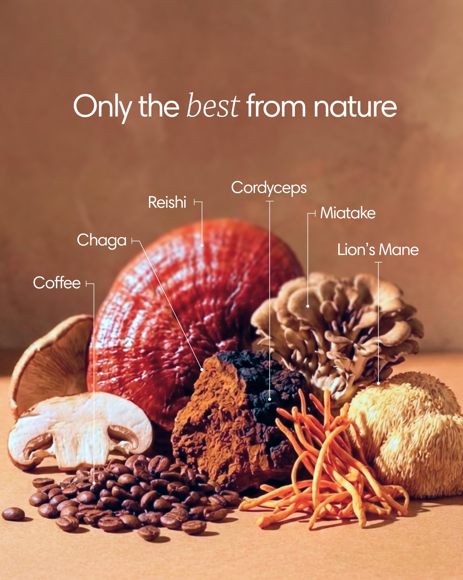 Clearly Mushroom Coffee container with a scoop and coffee powder on a wooden surface, highlighting natural mushroom coffee ingredients.