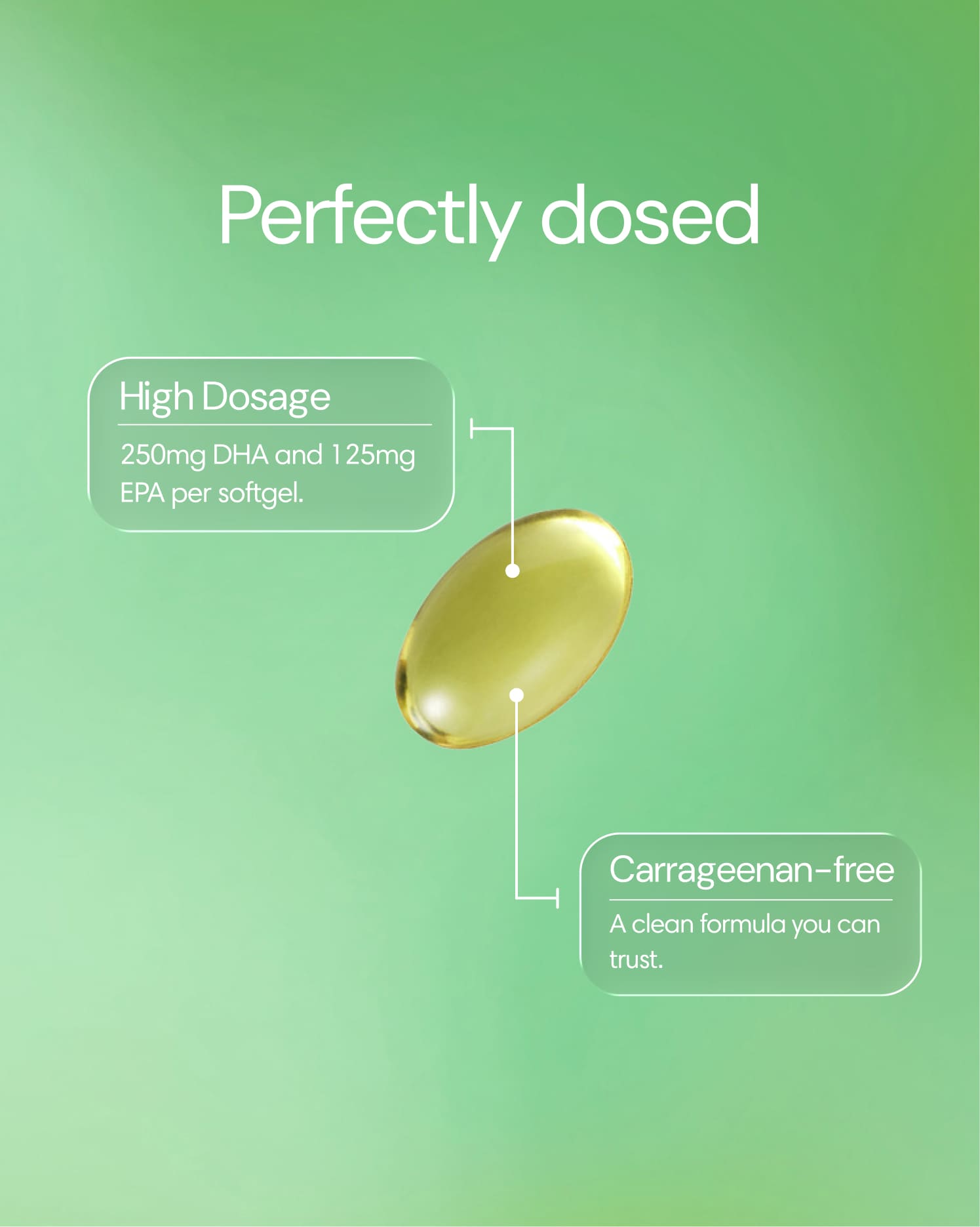 Clearly Omega-3 supplement bottle with softgel capsules, showcasing healthy fish oil for heart and brain support.